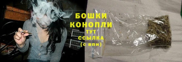 индика Бугульма