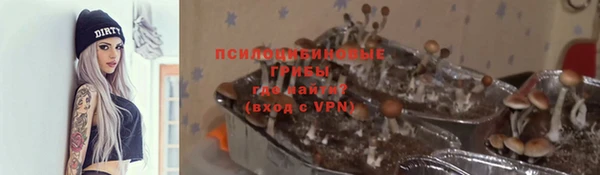 прущие крисы Богородицк
