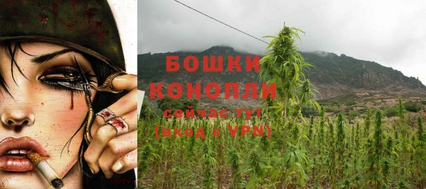мяу мяу кристалл Богданович
