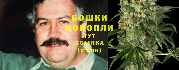 индика Бугульма