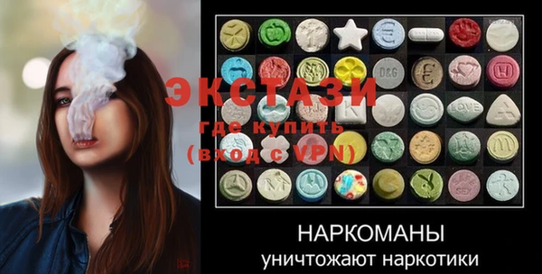 индика Бугульма