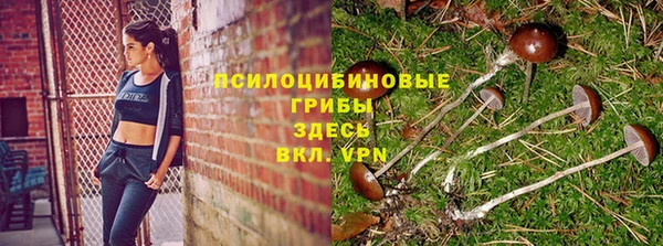 прущие крисы Богородицк