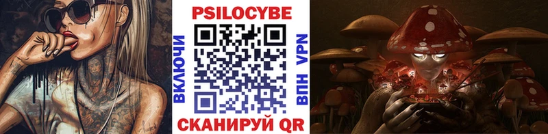 Галлюциногенные грибы Cubensis  сайты даркнета клад  Высоцк  как найти закладки 